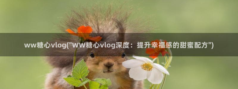 糖心vlog一一:ww糖心vlog(\