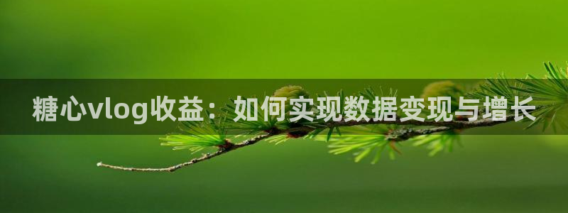 糖心vlog testflught：糖心vlog收益：如何实现数据变现与增长