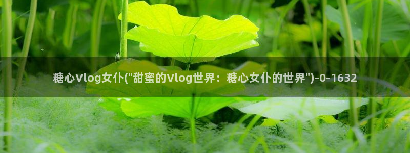 糖心vlog以前版本：糖心Vlog女仆(\