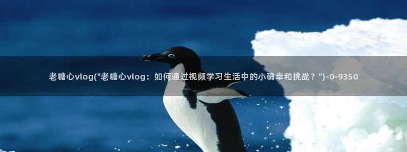 糖心vlog老司机导航：老糖心vlog(\