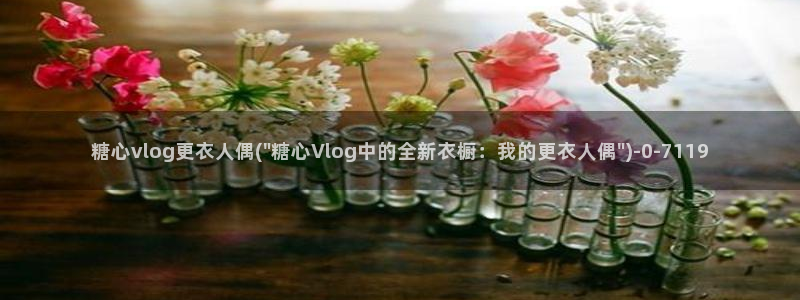 糖心vlog作者