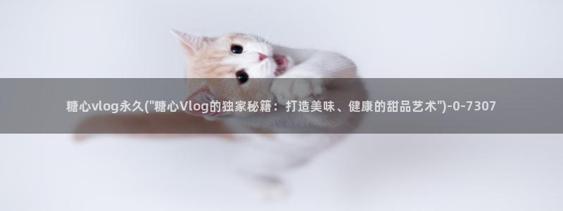 糖心vlog付费
