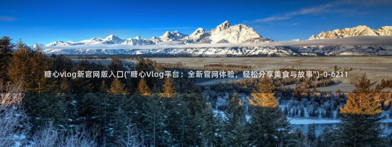  糖心vlog网站免费观看：糖心vlog新官网版入口(\