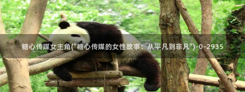  糖心vlog播放：糖心传媒女主角(\