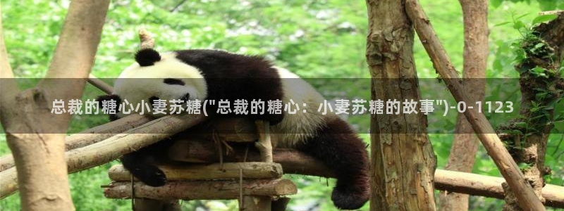  糖心vlog兑换码免费：总裁的糖心小妻苏糖(\