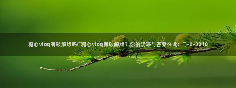  糖心vlog御梦子18：糖心vlog有破解版吗(\
