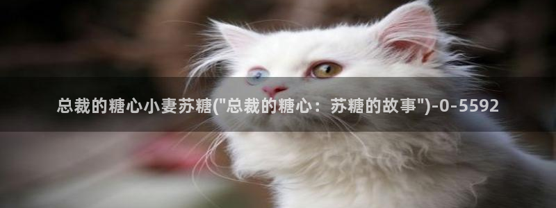  糖心vlog免费观：总裁的糖心小妻苏糖(\