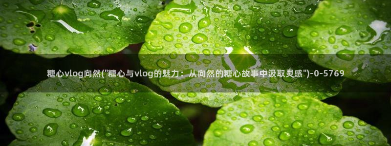 糖心破解版vlog