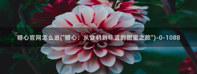 糖心vlo go