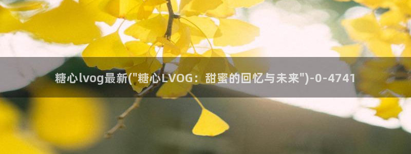 糖心vlog有哪些人