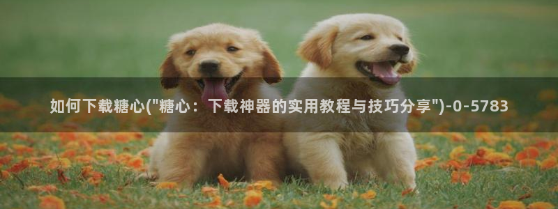 vlog糖心