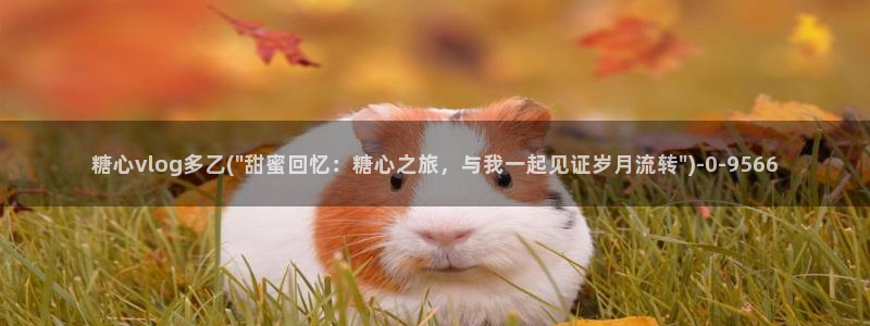 糖心vlog头像